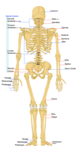 spinal-cord-injury-disability-claims