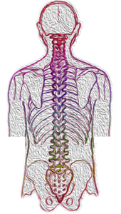 what-is-scoliosis